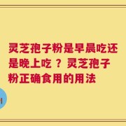 灵芝孢子粉是早晨吃还是晚上吃 ？灵芝孢子粉正确食用的用法