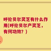 呼伦贝尔灵芝有什么作用(呼伦贝尔产灵芝，有何功效？)