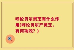 呼伦贝尔灵芝有什么作用(呼伦贝尔产灵芝，有何功效？)
