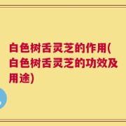 白色树舌灵芝的作用(白色树舌灵芝的功效及用途)