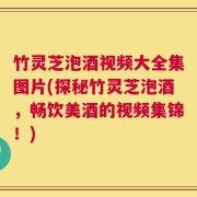 竹灵芝泡酒视频大全集图片(探秘竹灵芝泡酒，畅饮美酒的视频集锦！)