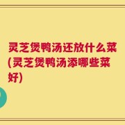 灵芝煲鸭汤还放什么菜(灵芝煲鸭汤添哪些菜好)