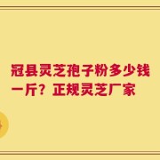 冠县灵芝孢子粉多少钱一斤？正规灵芝厂家