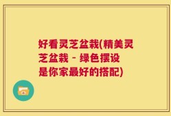 好看灵芝盆栽(精美灵芝盆栽 - 绿色摆设是你家最好的搭配)