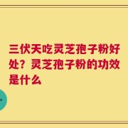 三伏天吃灵芝孢子粉好处？灵芝孢子粉的功效是什么