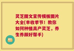 灵芝图文宣传模板图片大全(丰收季节！教你如何种植高产灵芝，养生养颜好帮手)