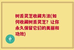 树舌灵芝收藏方法(如何收藏树舌灵芝？让你永久保留它们的美丽和功效)