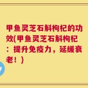 甲鱼灵芝石斛枸杞的功效(甲鱼灵芝石斛枸杞：提升免疫力，延缓衰老！)