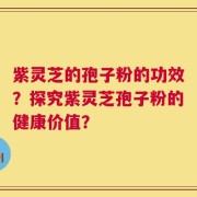 紫灵芝的孢子粉的功效？探究紫灵芝孢子粉的健康价值？
