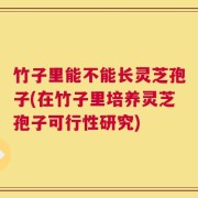 竹子里能不能长灵芝孢子(在竹子里培养灵芝孢子可行性研究)