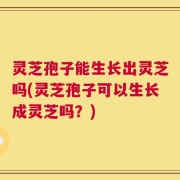 灵芝孢子能生长出灵芝吗(灵芝孢子可以生长成灵芝吗？)