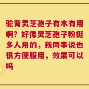 驼背灵芝孢子有木有用啊？好像灵芝孢子粉挺多人用的，我同事说也很方便服用，效果可以吗