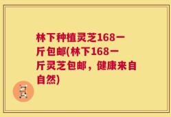 林下种植灵芝168一斤包邮(林下168一斤灵芝包邮，健康来自自然)