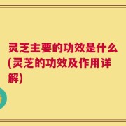 灵芝主要的功效是什么(灵芝的功效及作用详解)