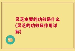 灵芝主要的功效是什么(灵芝的功效及作用详解)