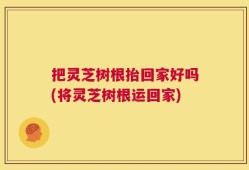 把灵芝树根抬回家好吗(将灵芝树根运回家)