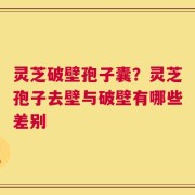灵芝破壁孢子囊？灵芝孢子去壁与破壁有哪些差别