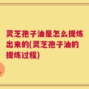 灵芝孢子油是怎么提炼出来的(灵芝孢子油的提炼过程)
