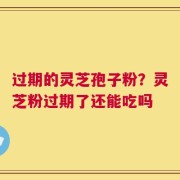 过期的灵芝孢子粉？灵芝粉过期了还能吃吗
