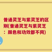 普通灵芝与紫灵芝的区别(普通灵芝与紫灵芝：颜色和功效都不同)