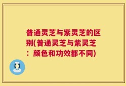 普通灵芝与紫灵芝的区别(普通灵芝与紫灵芝：颜色和功效都不同)