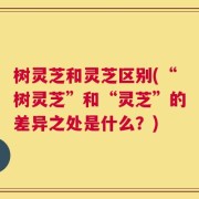 树灵芝和灵芝区别(“树灵芝”和“灵芝”的差异之处是什么？)