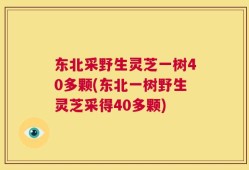东北采野生灵芝一树40多颗(东北一树野生灵芝采得40多颗)