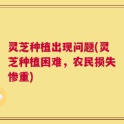 灵芝种植出现问题(灵芝种植困难，农民损失惨重)
