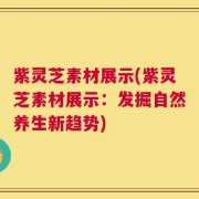 紫灵芝素材展示(紫灵芝素材展示：发掘自然养生新趋势)