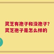 灵芝有孢子和没孢子？灵芝孢子是怎么样的