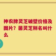神农牌灵芝破壁价格及图片？菌灵芝别名叫什么