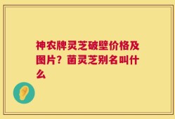 神农牌灵芝破壁价格及图片？菌灵芝别名叫什么