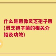 什么是菌像灵芝孢子菌(灵芝孢子菌的相关介绍及功效)
