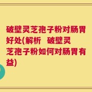 破壁灵芝孢子粉对肠胃好处(解析  破壁灵芝孢子粉如何对肠胃有益)