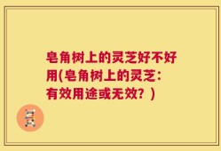 皂角树上的灵芝好不好用(皂角树上的灵芝：有效用途或无效？)