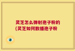 灵芝怎么弹射孢子粉的(灵芝如何散播孢子粉