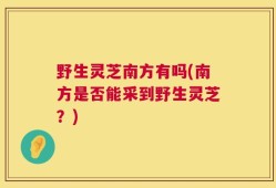 野生灵芝南方有吗(南方是否能采到野生灵芝？)