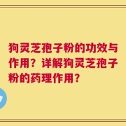 狗灵芝孢子粉的功效与作用？详解狗灵芝孢子粉的药理作用？