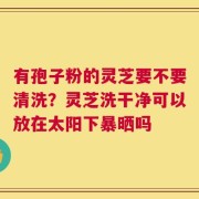有孢子粉的灵芝要不要清洗？灵芝洗干净可以放在太阳下暴晒吗