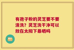 有孢子粉的灵芝要不要清洗？灵芝洗干净可以放在太阳下暴晒吗