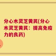 分心木灵芝黄芪(分心木灵芝黄芪：提高免疫力的良药)