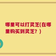 哪里可以打灵芝(在哪里购买到灵芝？)