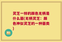 灵芝一样的颜色无柄是什么菌(无柄灵芝：颜色神似灵芝的一种菌类)