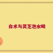 白术与灵芝泡水喝