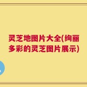 灵芝地图片大全(绚丽多彩的灵芝图片展示)