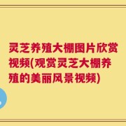 灵芝养殖大棚图片欣赏视频(观赏灵芝大棚养殖的美丽风景视频)