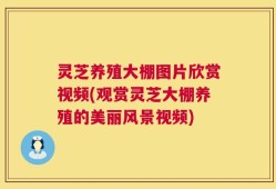 灵芝养殖大棚图片欣赏视频(观赏灵芝大棚养殖的美丽风景视频)