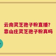 云南灵芝孢子粉直播？靠山庄灵芝孢子粉真吗