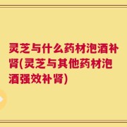 灵芝与什么药材泡酒补肾(灵芝与其他药材泡酒强效补肾)
