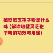 破壁灵芝孢子粉是什么咪 (解读破壁灵芝孢子粉的功效与用途)